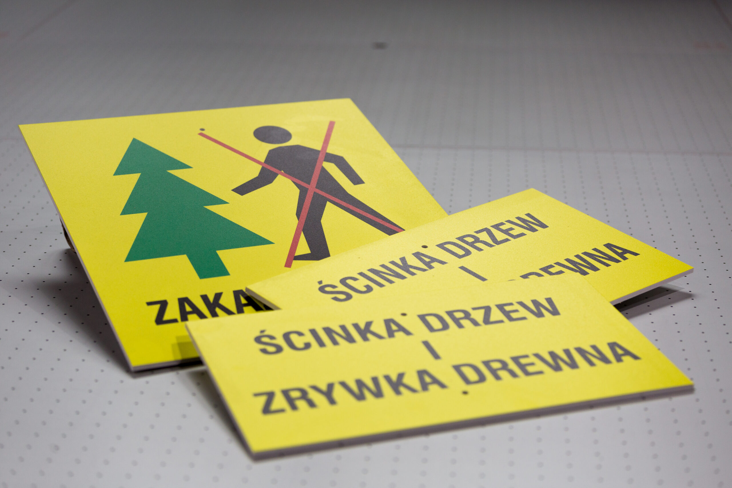 Introligatornia Fischer